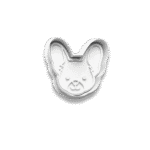 Corgi
